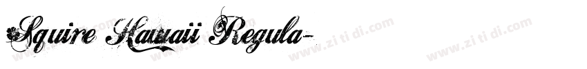 Squire Hawaii Regula字体转换